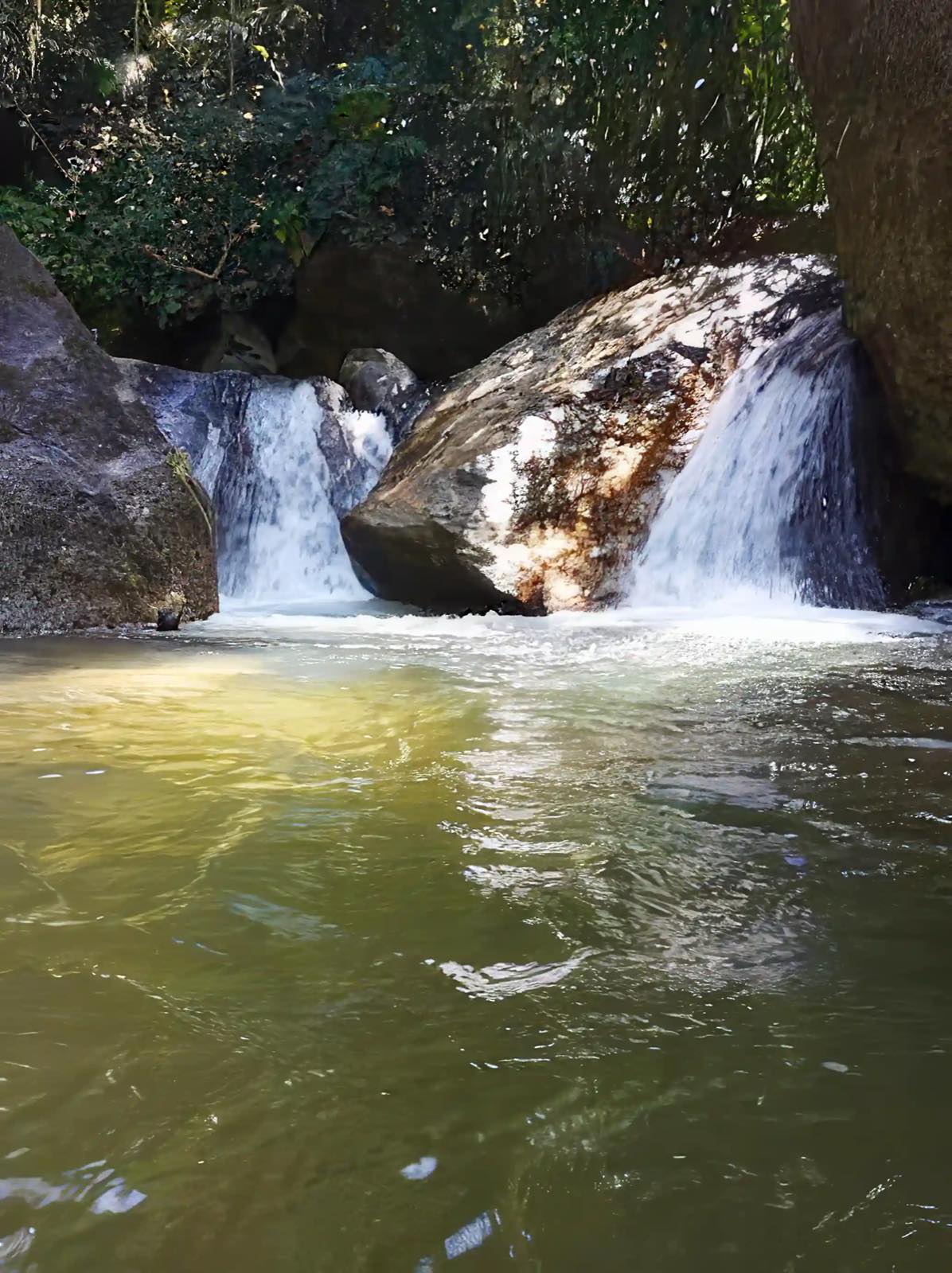 Sound-swim property
