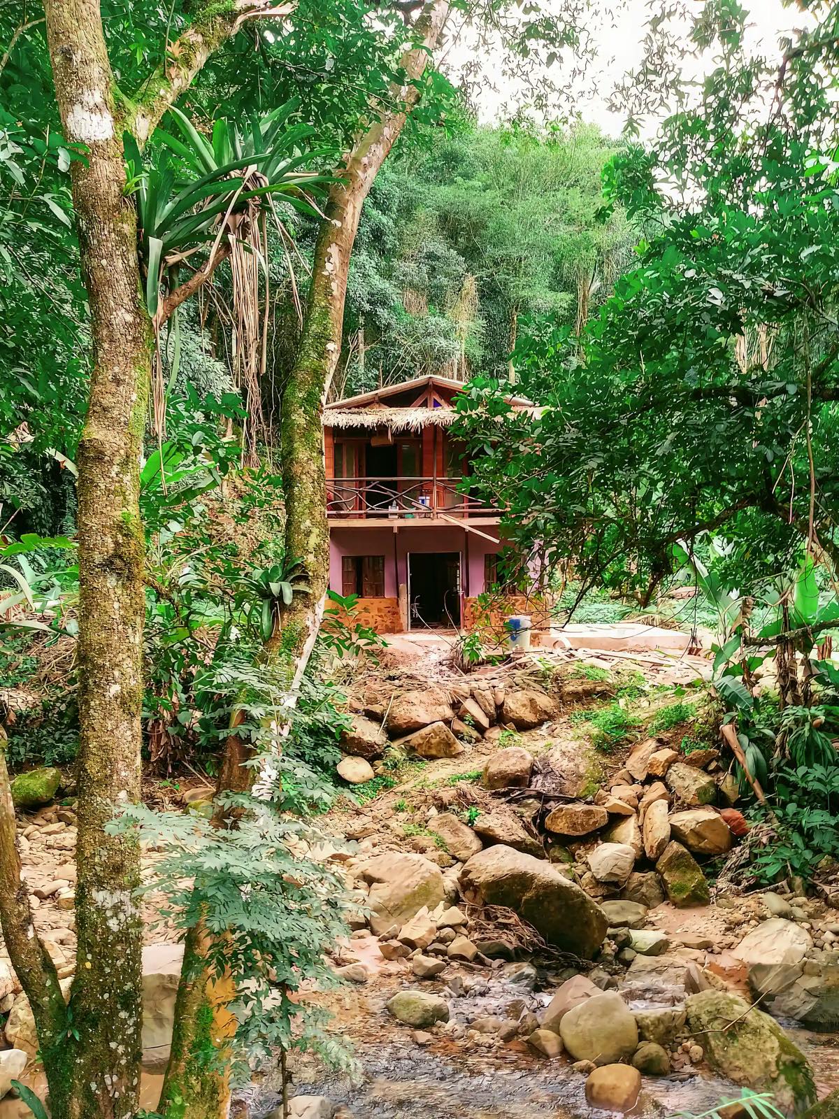 Sound-swim property