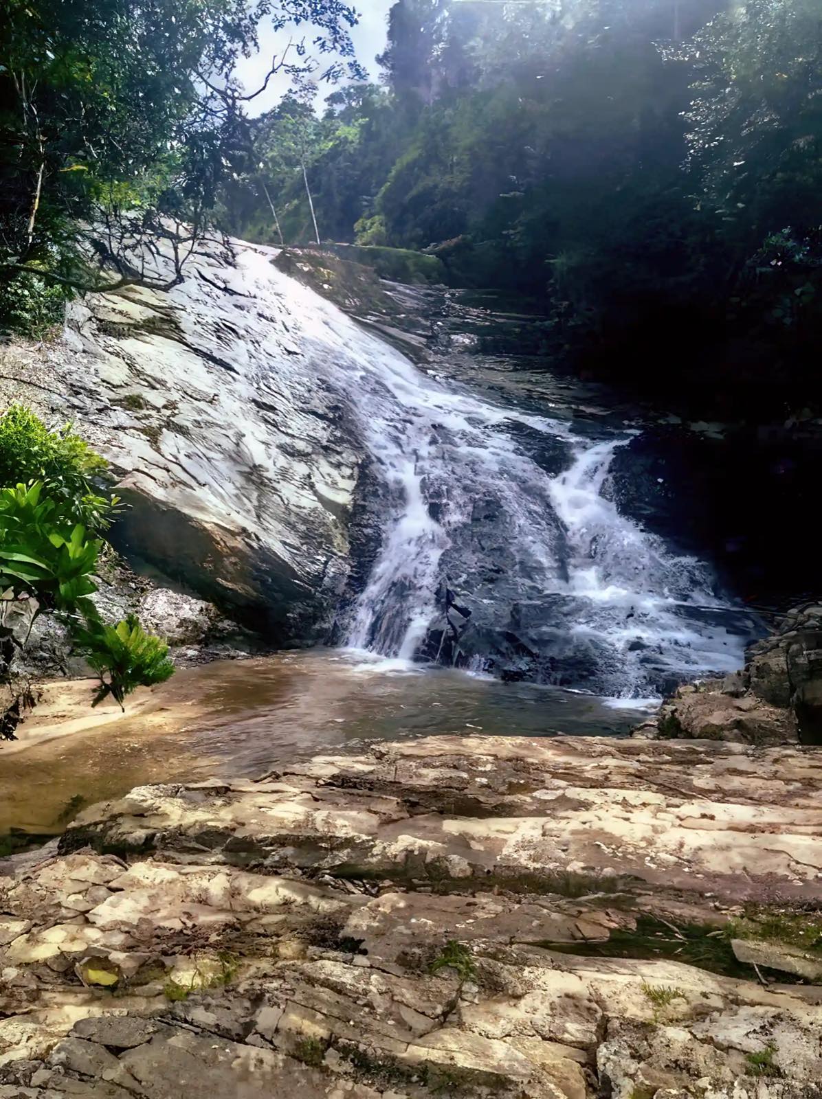 Sound-swim property